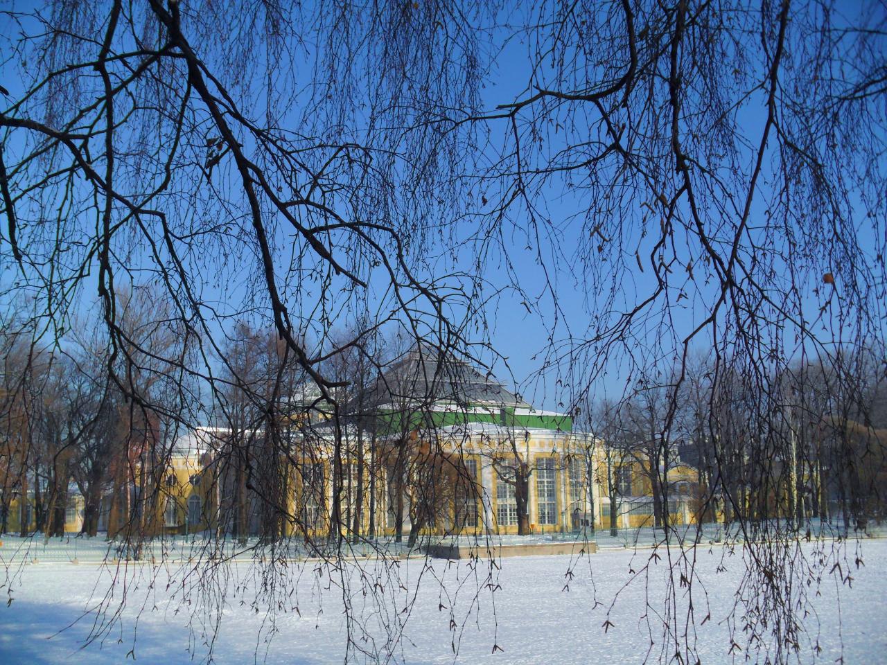 ботанический сад в санкт петербурге зимой