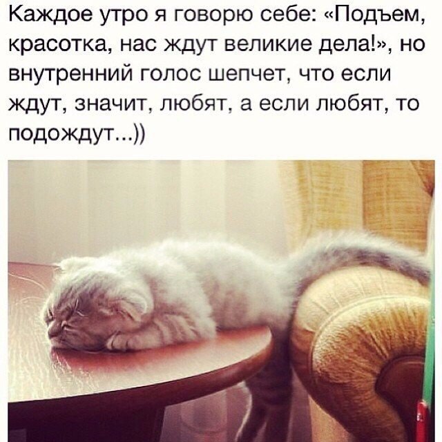 И пусть весь мир подождет картинки красивые с надписями