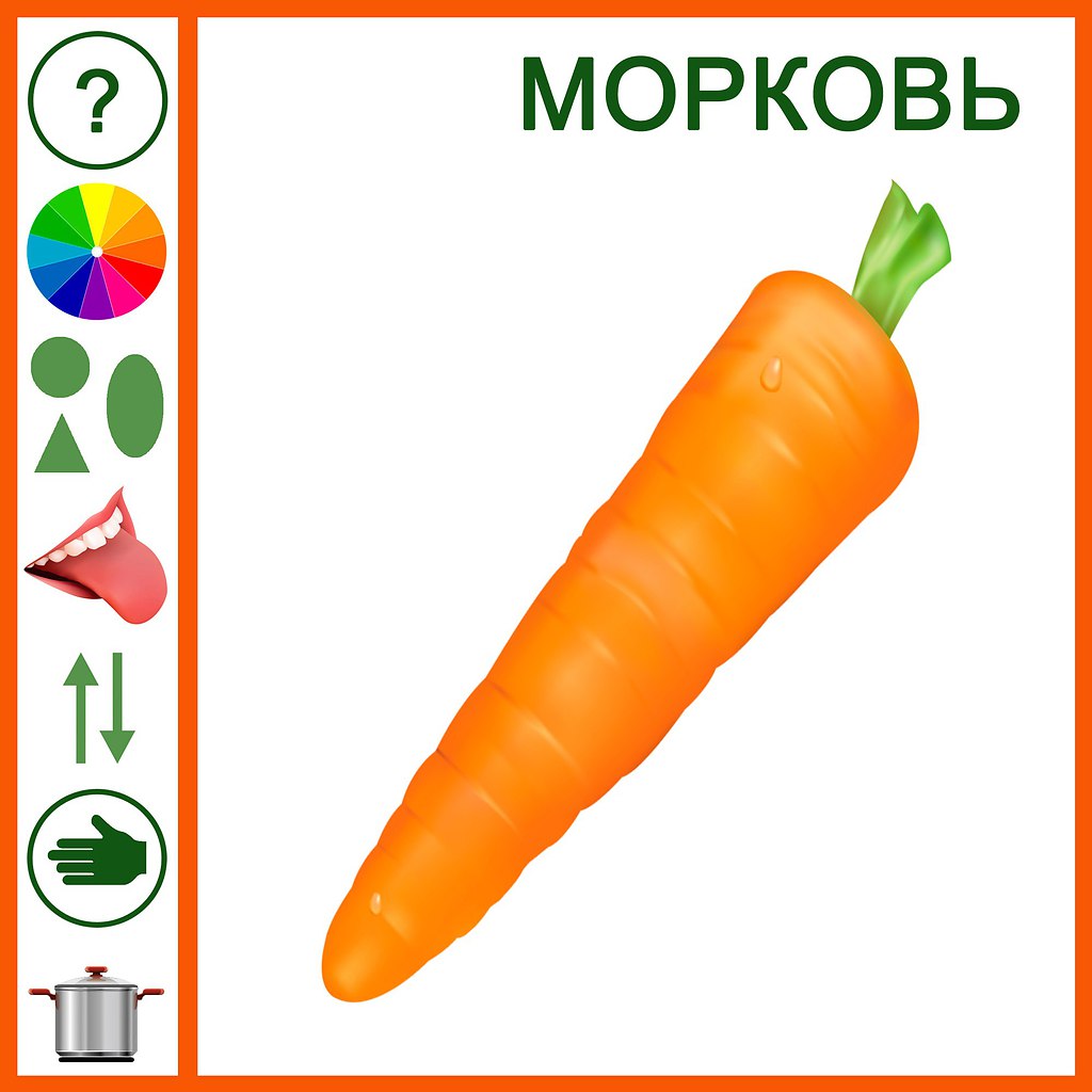 Овощей для детей в детском саду морковь