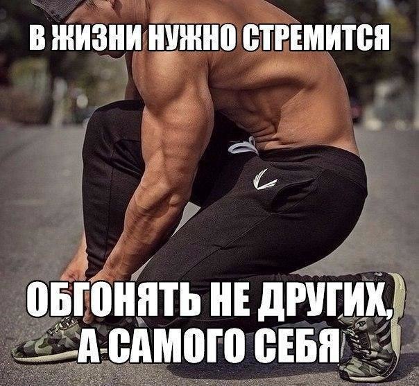 Спорт это жизнь картинки смешные