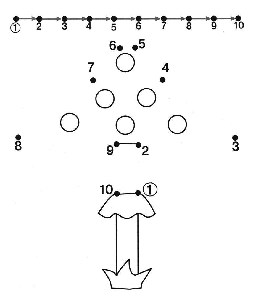 Рисунок по точкам до 10