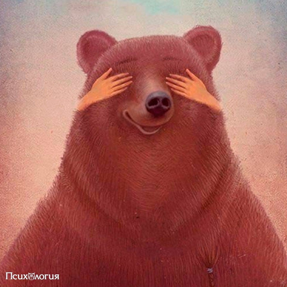 Твой медведь