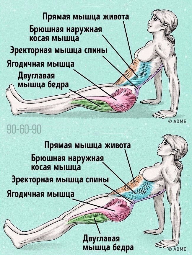 Мостик какие мышцы работают. Упражнения для живота. Упражнения для укрепления мышц ягодиц и бедер. Упражнения для сжигания жира на животе. Упражнения для сгорает жира.