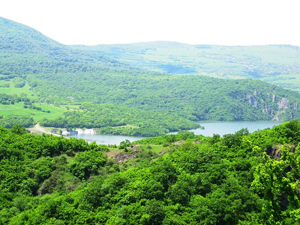 Село набеглави грузия