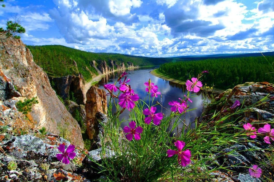 Природа якутии картинки