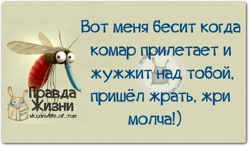 Правда пришли. Смешное про комаров. Анекдоты про комаров смешные. Комар прикол. Комары смешные картинки.