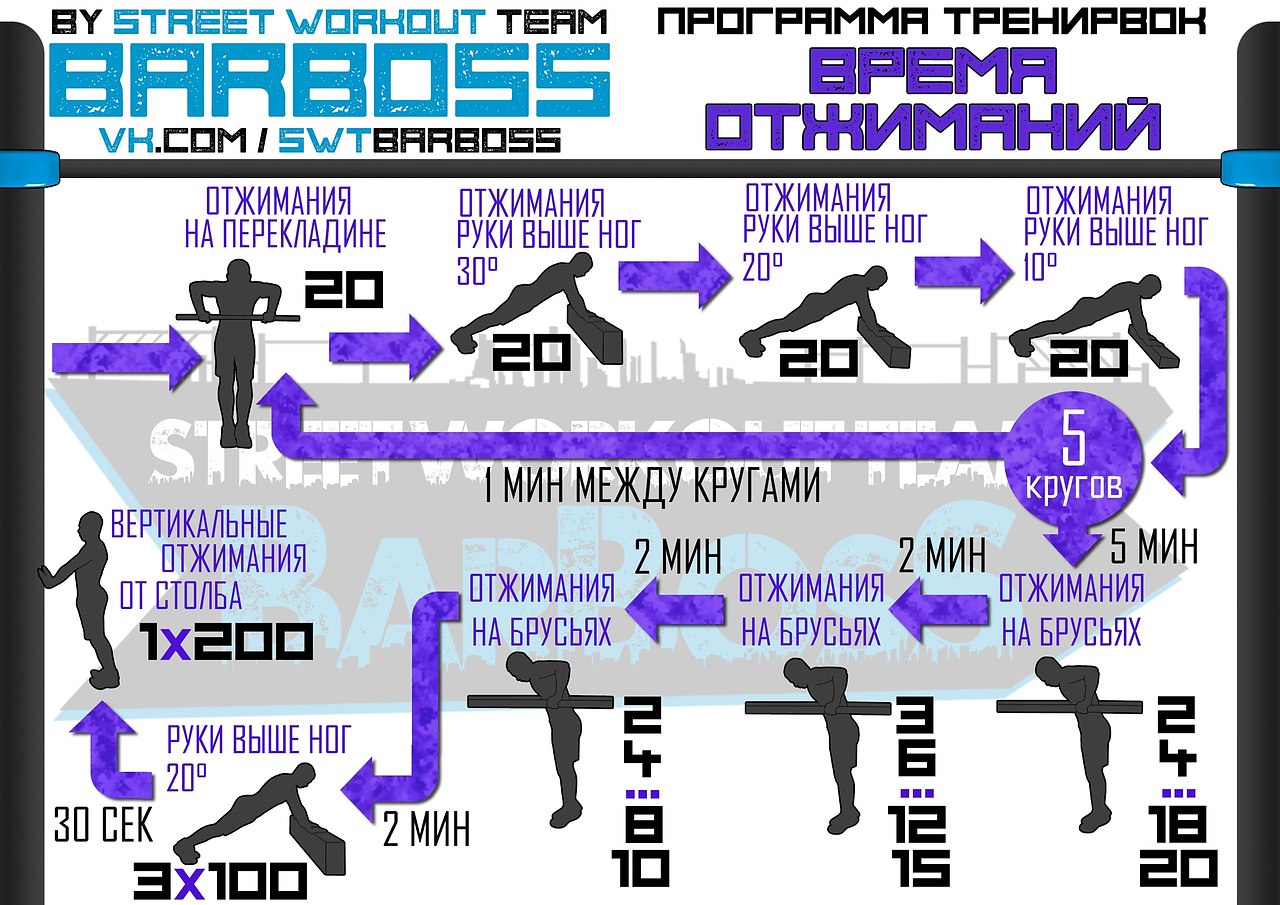 Брусья план тренировок