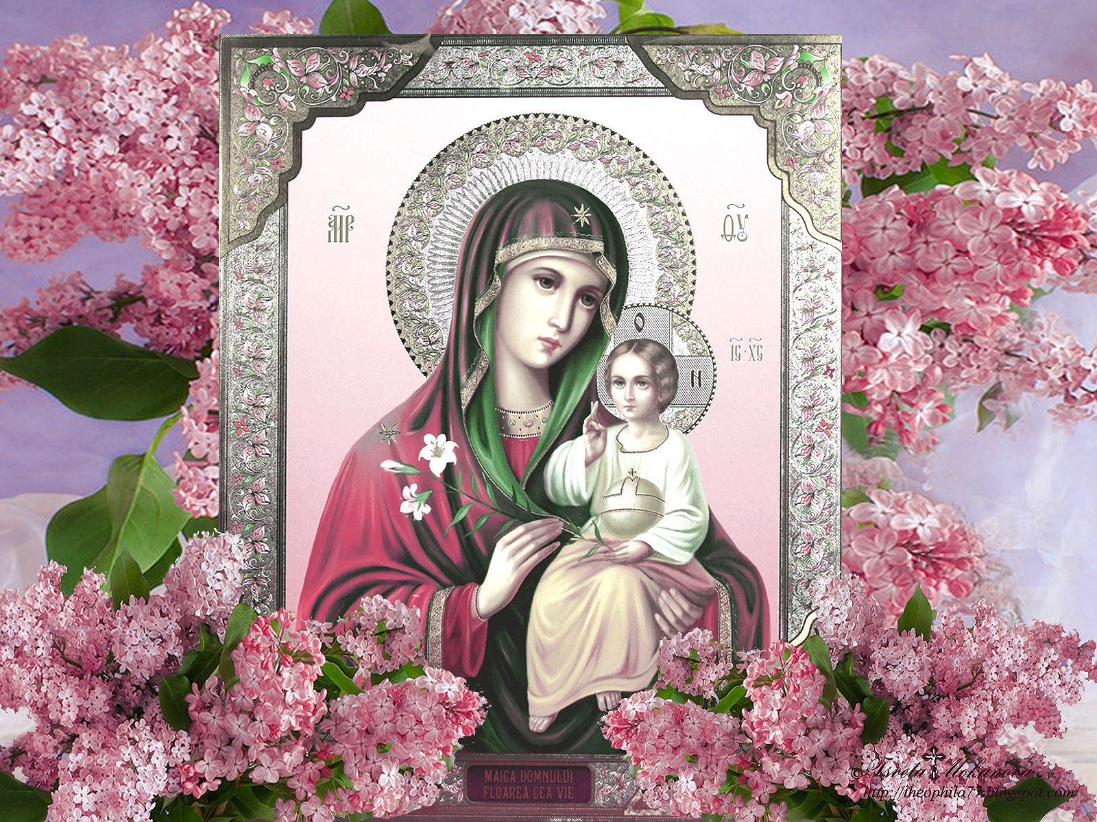 Богородица в розовом