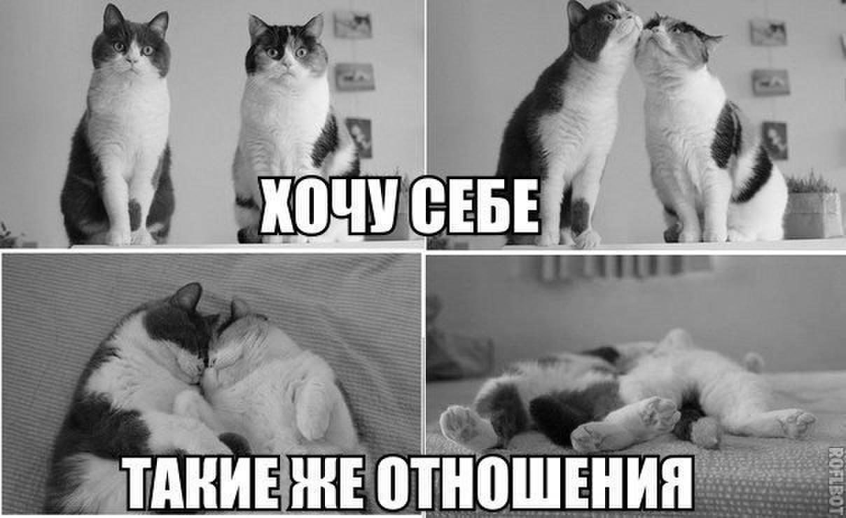 Не хочу отношений. Хочу отношений. Хочу такие отношения. Что я хочу в отношениях. Хочется таких отношений.