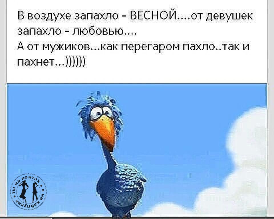 В воздухе запахло. Запахло весной. В воздухе запахло весной. В воздухе запахло весной от девушек запахло любовью. Запахло весной прикол.