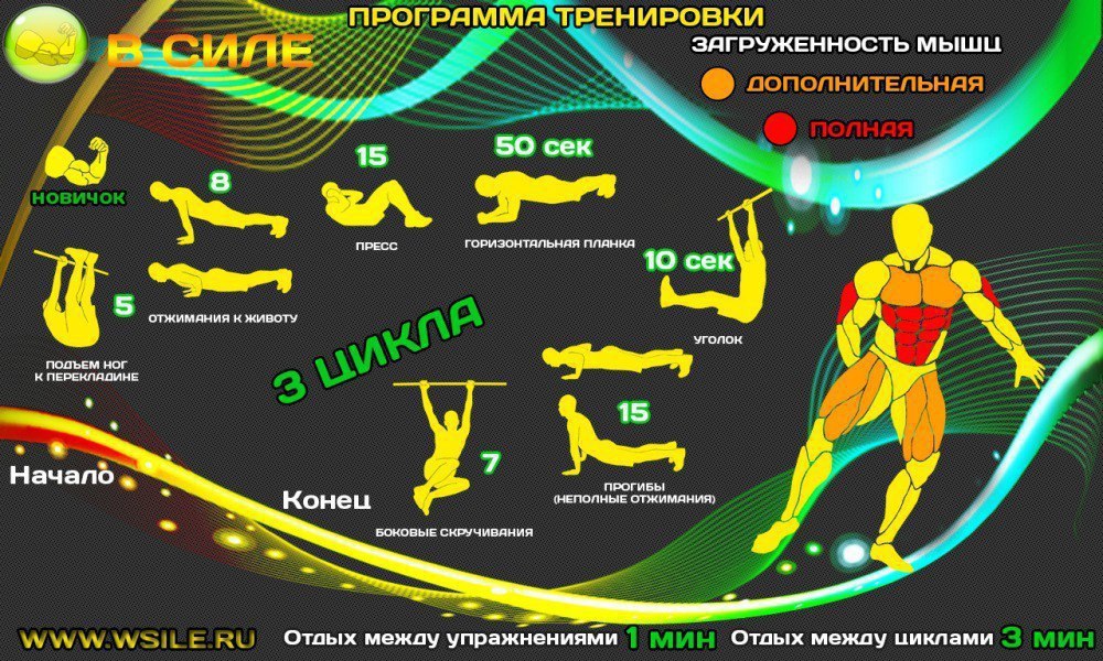 План тренировок в домашних условиях для мужчин