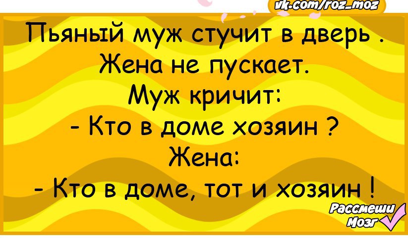 Двери жены. Муж хозяин в доме. Анекдот кто в доме хозяин. Муж хозяин жене. Анекдот про то кто дома хозяин ?.