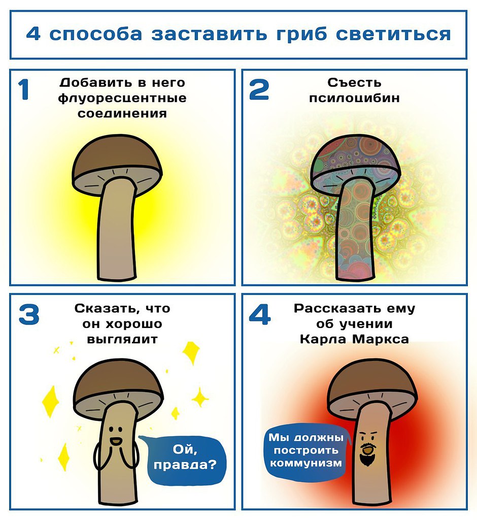 Светящийся гриб карта