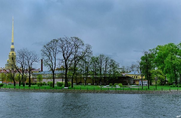 Фотографии с близкими всегда нерезкие