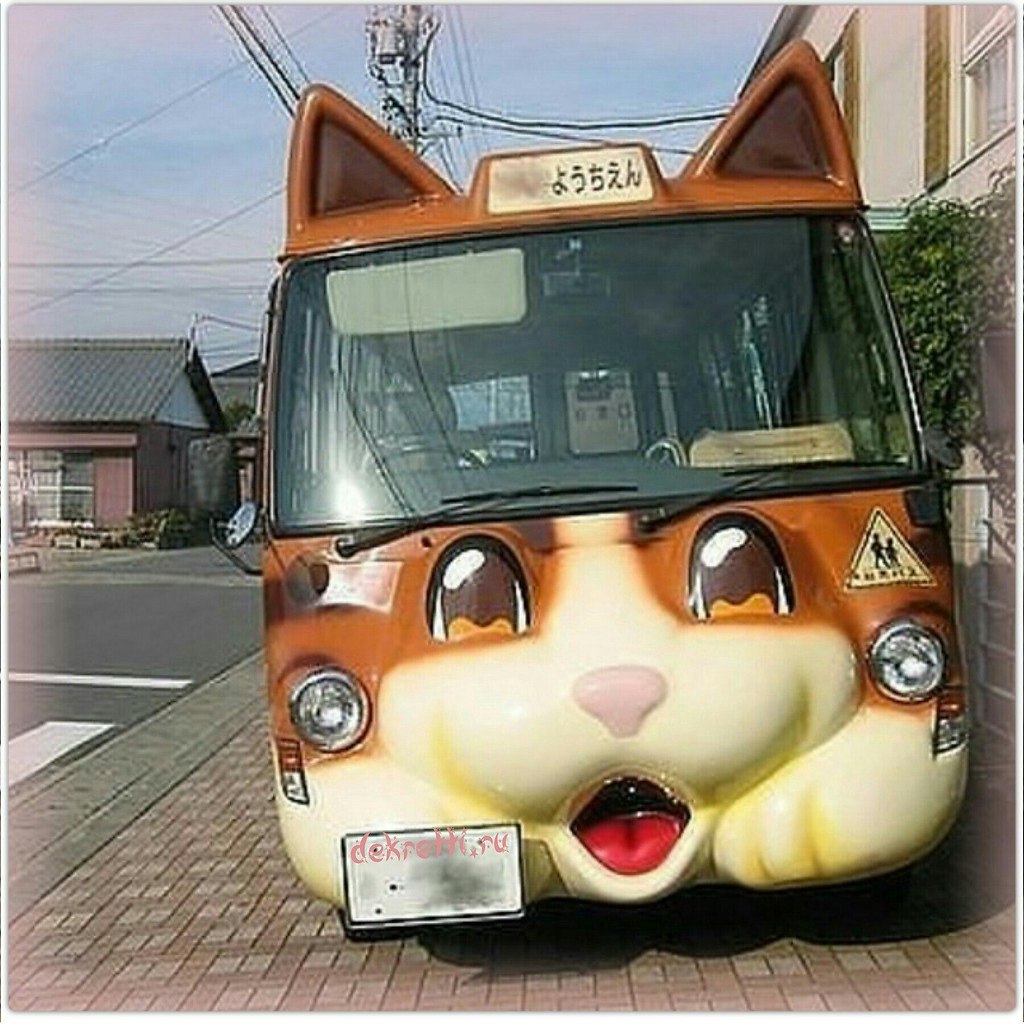 Необычный школьный автобус
