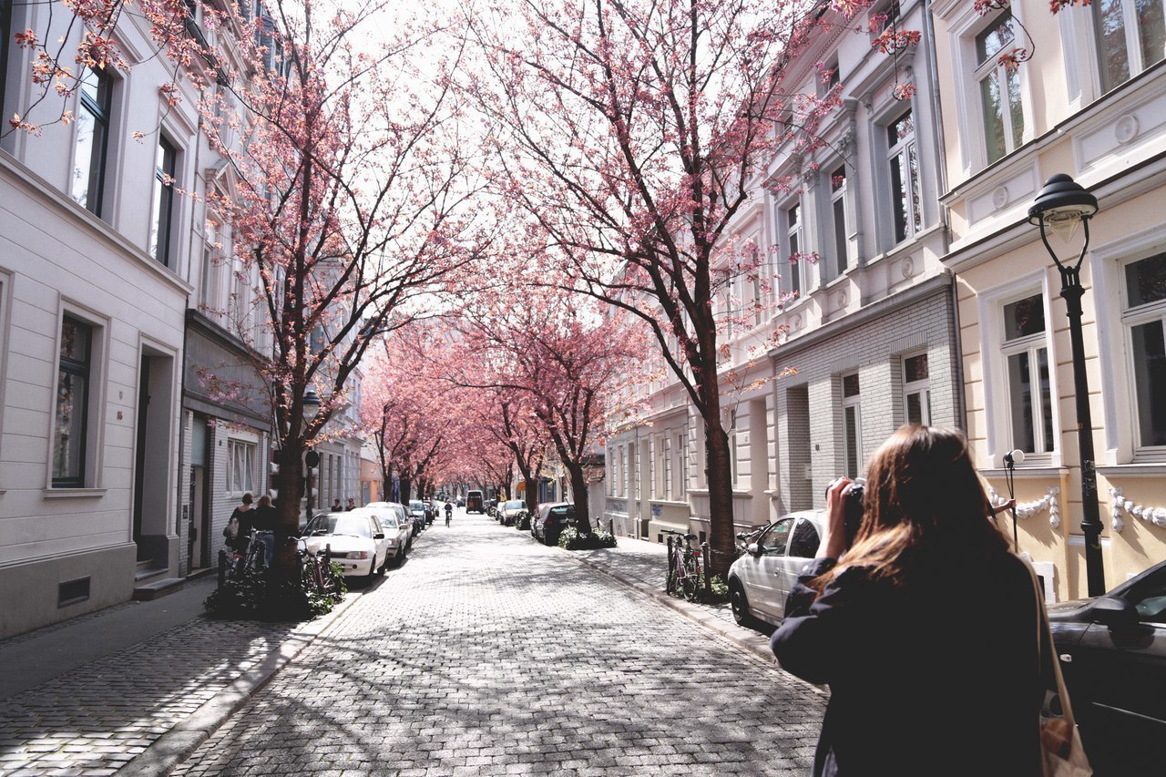 Фото город бонн германия