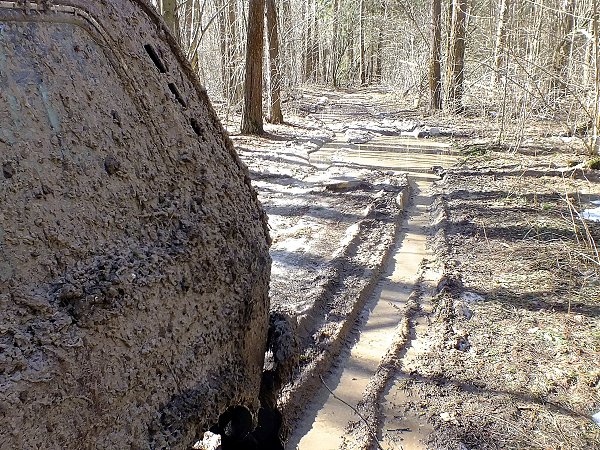 татьяна бредихина, 55 лет Овен, Россия, Тула Знакомства ID 70578894 ...