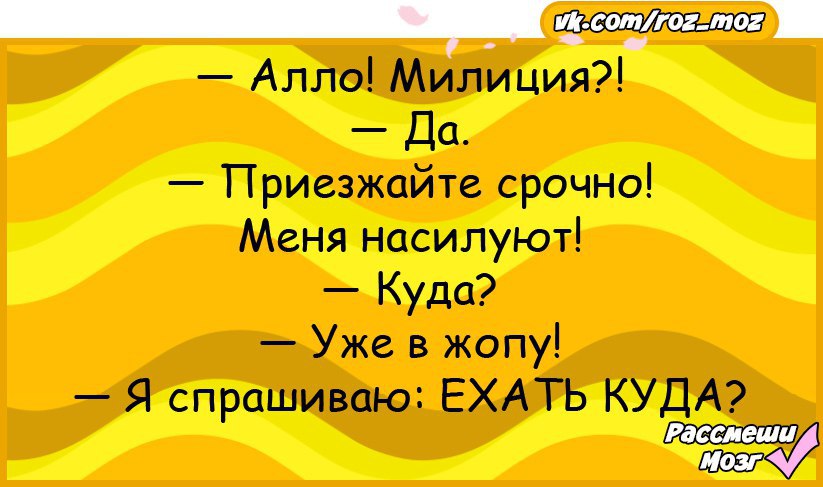 Але лев. Ржу не могу анекдоты. Алло шутки. Ржу не могу анекдоты прикольные.