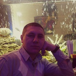 Илья, 33 года, Моршанск