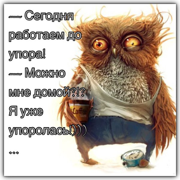 Я уже работает. Сегодня работаем до упора я уже. Сегодня работаем. Работаем до упора. Сегодня работаем до упора.