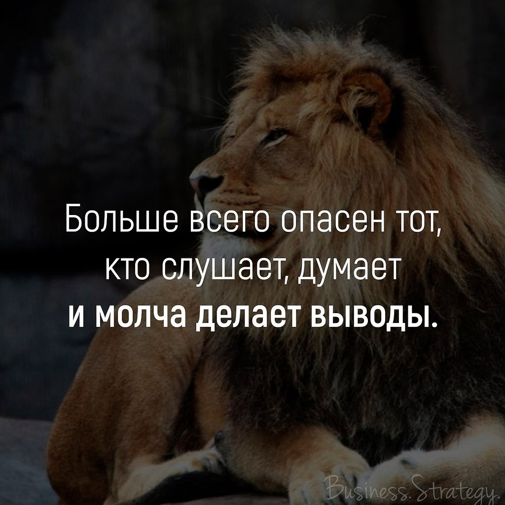 Давай ты будешь любой. Мысли Лев. Обиженный Лев. Афоризмы про Львов. Статусы про Льва.