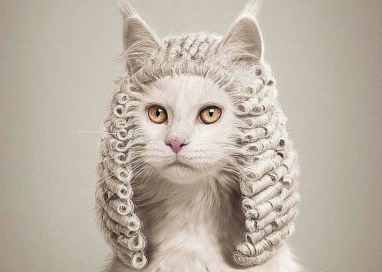 Парадокс - ОБО ВСЕМ, №1420068605 | Фотострана – cайт знакомств ...