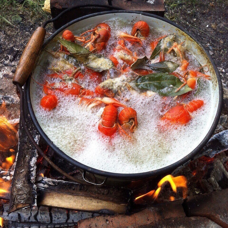 Рак смешные картинки