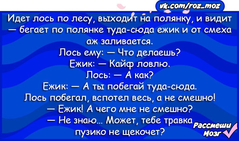 Ежик по травке бежит и хохочет ежику. Анекдот про Ёжика и травку. Анекдот про лося и ежика. Анекдот про Ёжика и травку и лося. Ёжик по травке бежит и хохочет Ёжику.