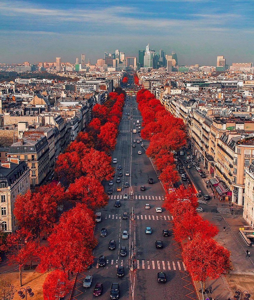 Улица Елисейские поля в Париже