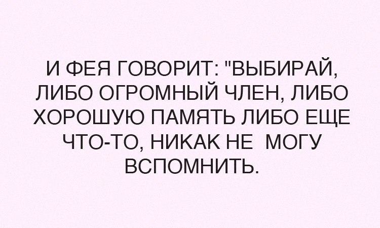 Какой либо лучше. Анекдот про плохую память. Хорошая память или большой. Большой хер или хорошая память. Фея сказала.