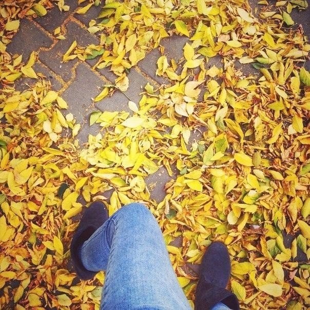 Настроение Осень, Я Закрываю Глаза И Прибавляю Громкость.