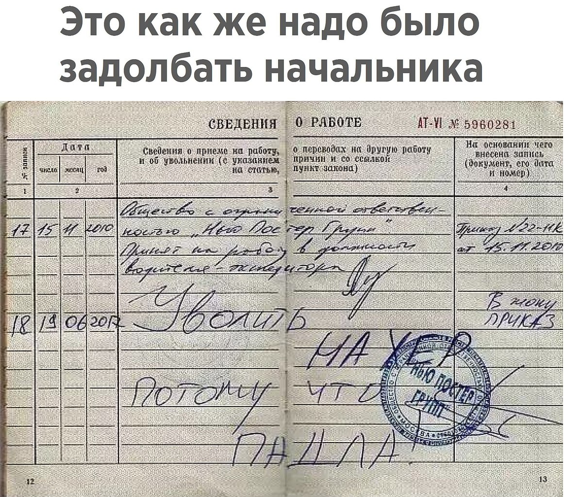 Тебе начальник не картины тебе бы книжки писать