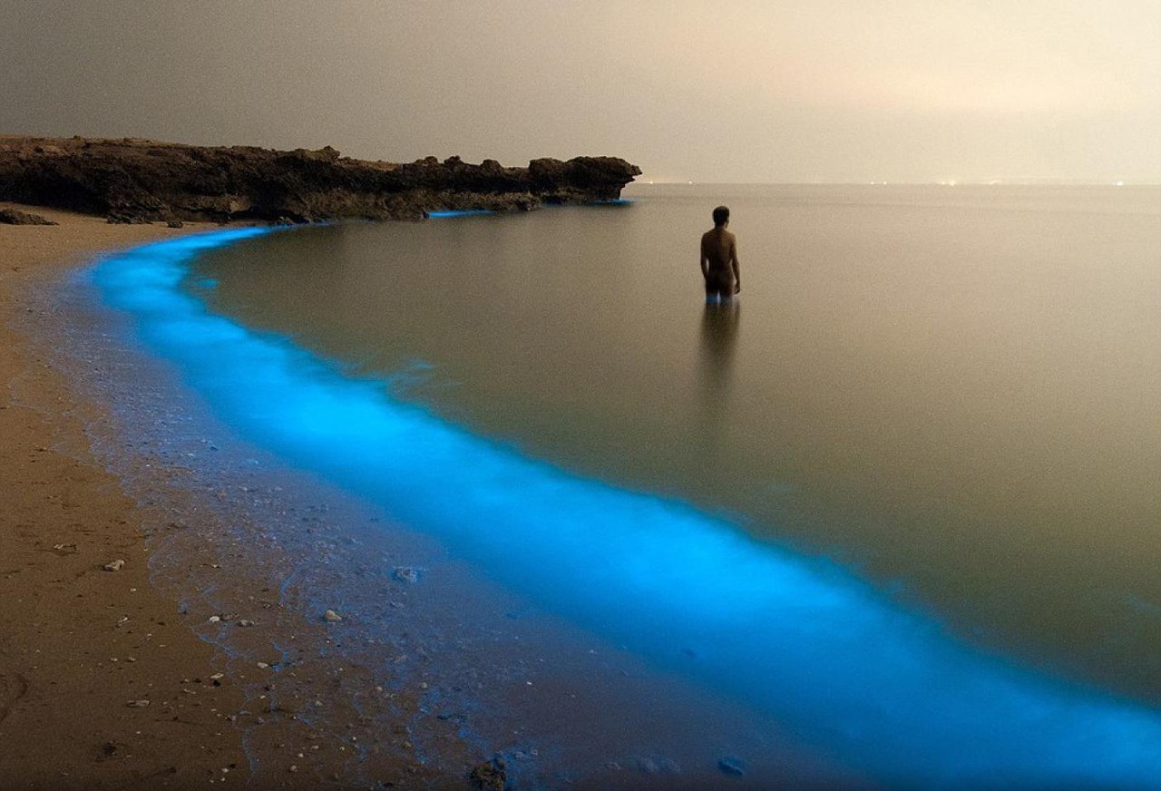 Биолюминесцентный пляж, Иран