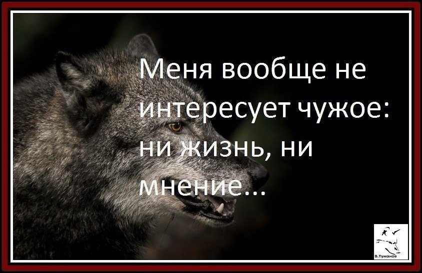 Чужой жизнью не интересуюсь от своей в шоке картинки