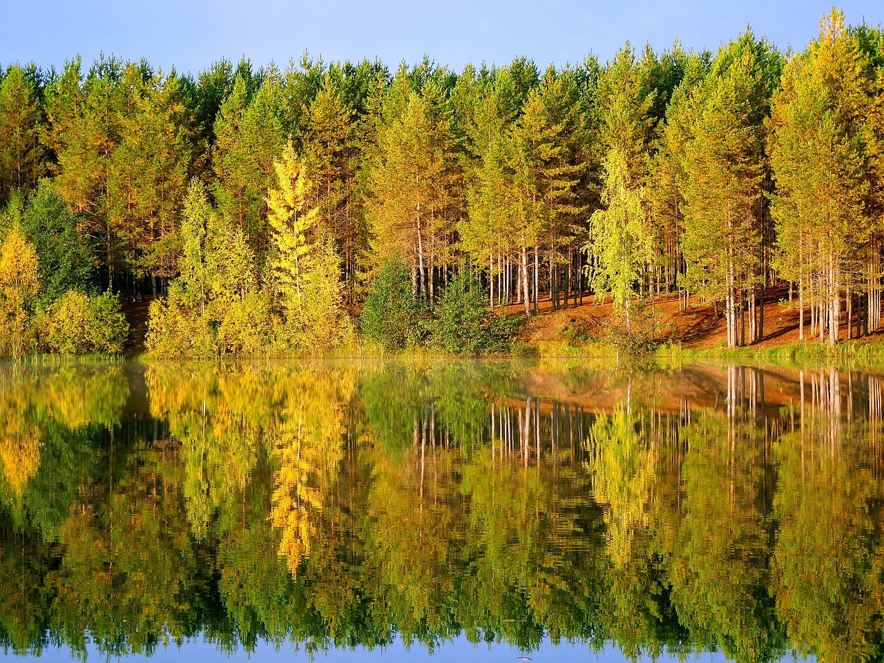 Природа Кировской области