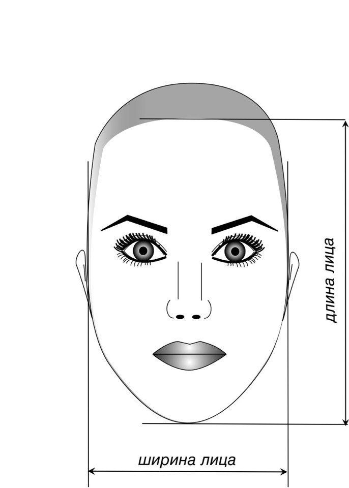 Идеальные черты лица девушки схема