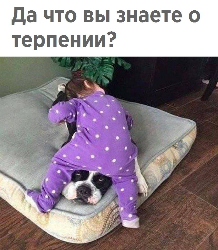 И снится нам