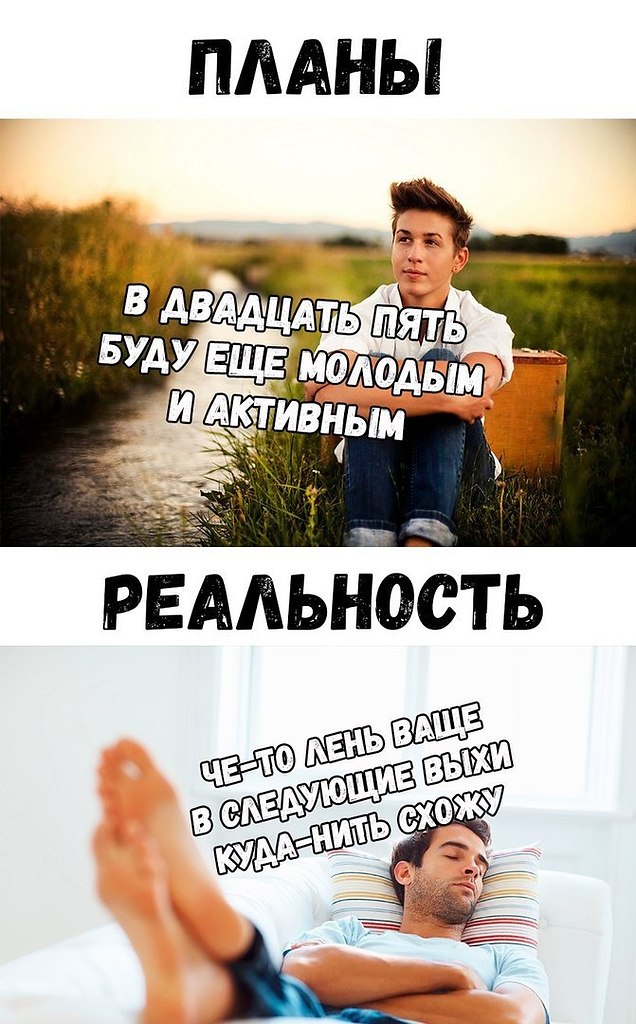 Твой план реальность