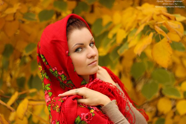 Роза русская красавица фото