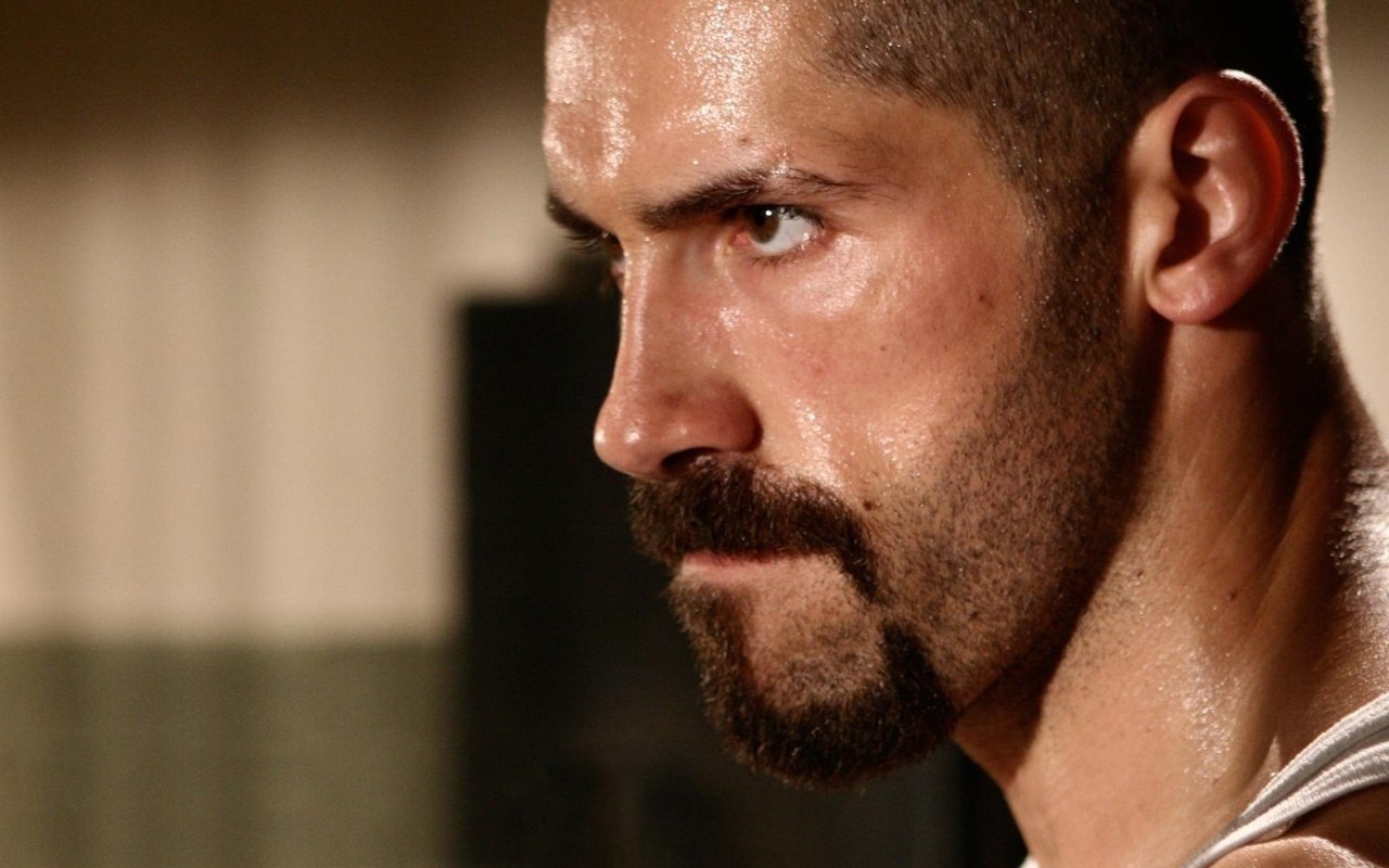 Scott Adkins Р‘РѕР№РєРѕ