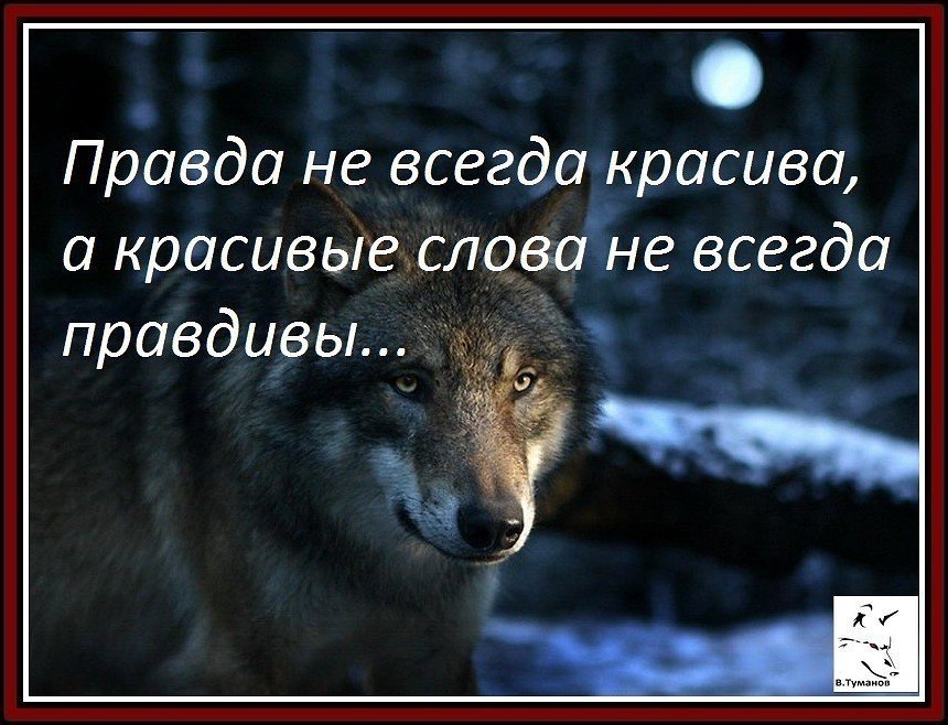 Доедешь позвони это не просто слова и их не говорят кому попало картинка