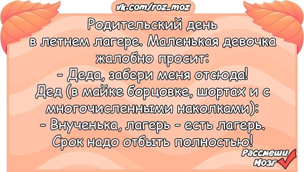 Едем встречать. Анекдоты для 15 лет. Бот анекдот. Шутки про 15 лет. Анекдот 15.02.20.