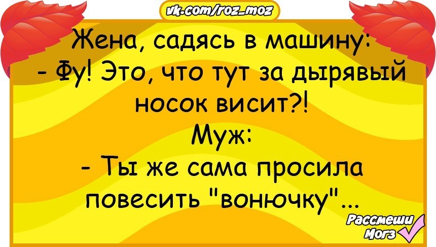 Жена садится. Анекдоты про 1 сентября самые смешные. Анекдот про дырявого. Анекдот про рваные туфли. Шутки про дырявую голову.