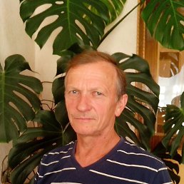 Николай, 63 года, Кировоград