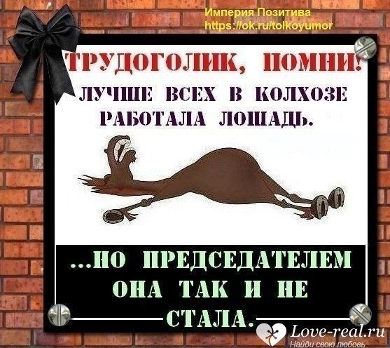 Чтоб решить с баблом задачу… Шеф Ваш требует «ишачить». Если станете«ишачить» будет все: И дом, и .