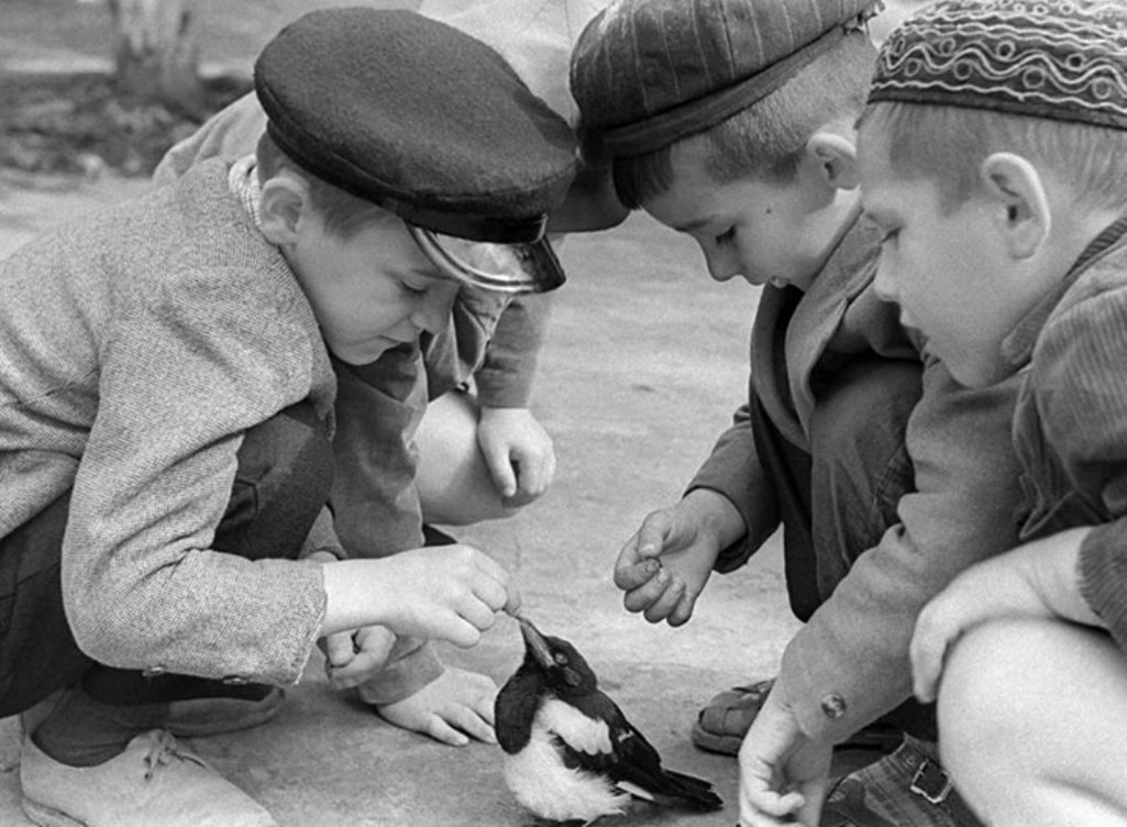 Веселые картинки 1965 год