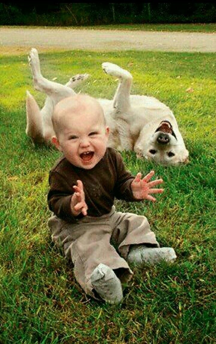 Ребенок и животное смешное