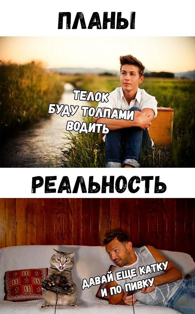 Твой план реальность