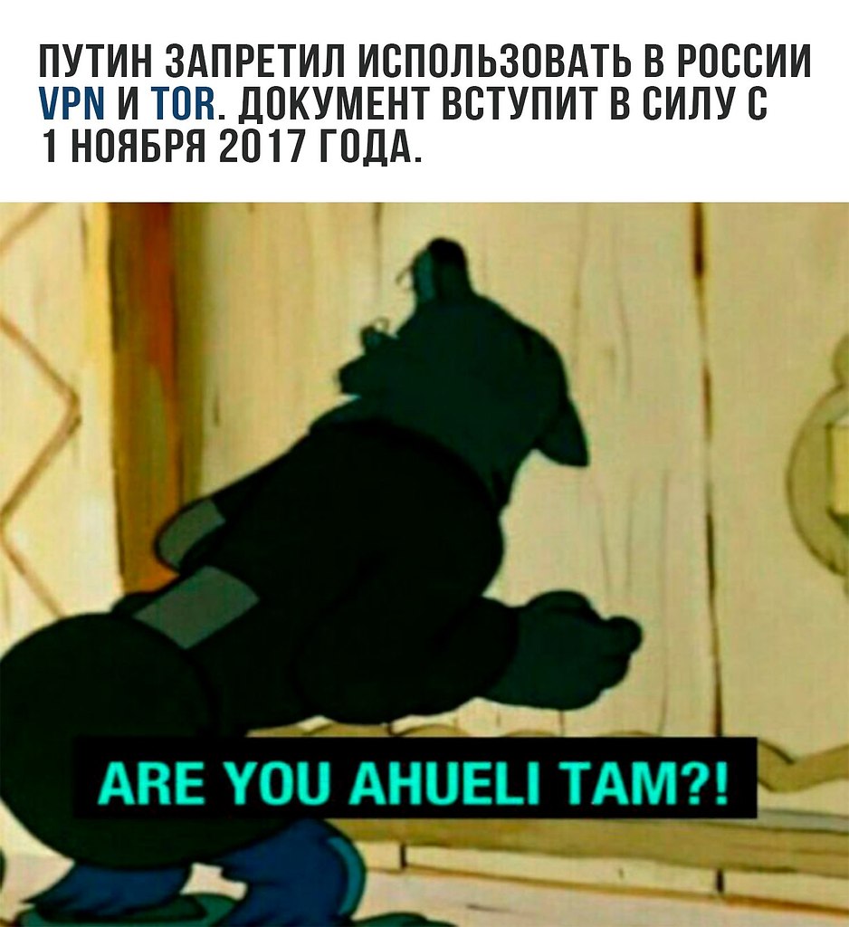 Там 0. Are you ahueli tam волк. Are you ahueli tam Мем. Вы там ahueli. Мем vi tam ohueli.