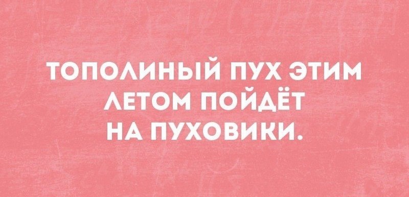 Тополиный пух прикольные картинки